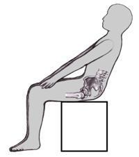 back pain tailbone in women